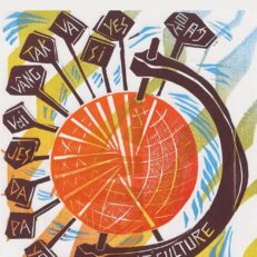 The Bilingual Revolution